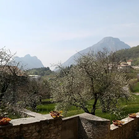 Vila Orchidea In Hilly Area *