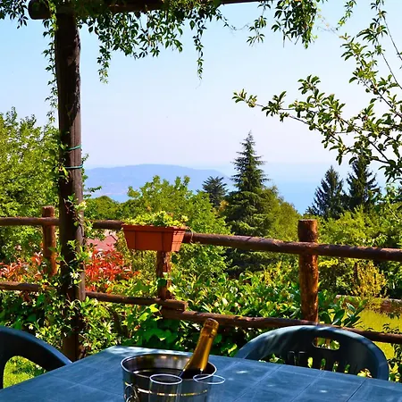 Orchidea In Hilly Area Gargnano