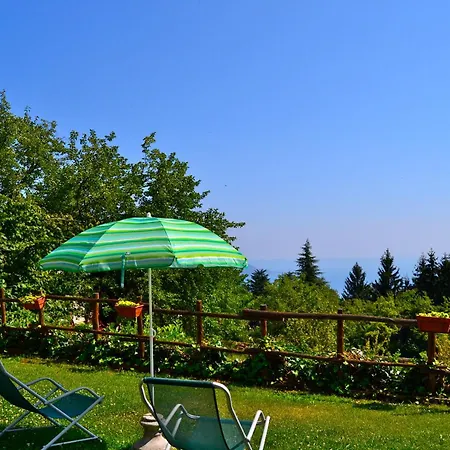 Vila Orchidea In Hilly Area